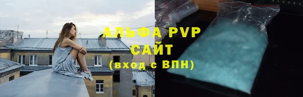 ГАЛЛЮЦИНОГЕННЫЕ ГРИБЫ Калининец