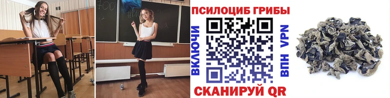 Галлюциногенные грибы Psilocybe  Купить закладки  Кириши 